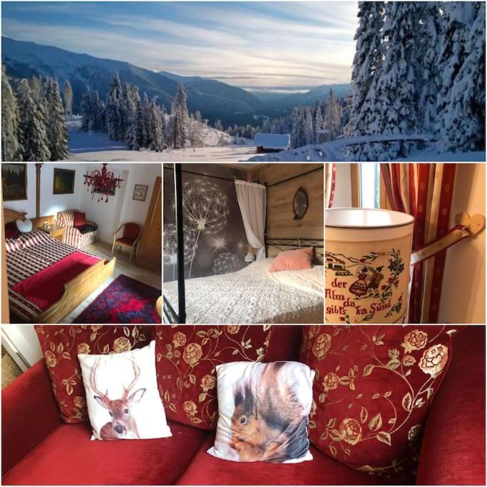 ארטה טרמה Holiday Guesthouse La Casina Di Butzi Pet Friendly - Terme Di Arta - Zoncolan מראה חיצוני תמונה